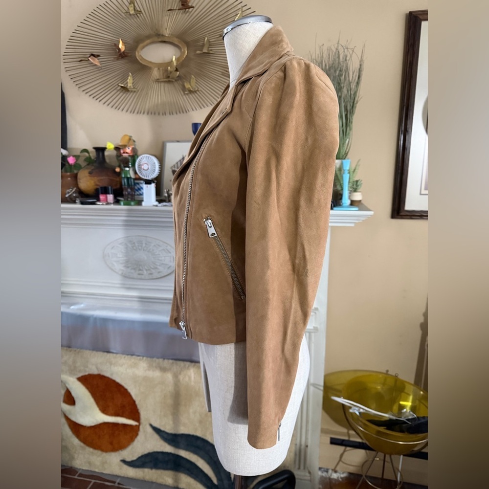 Quince 100% Suede Biker Jacket in XS pecan brown - Picture 15 of 17
